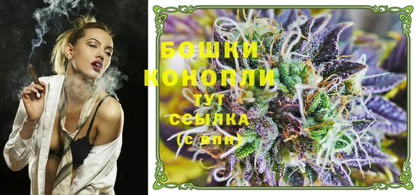 ГАЛЛЮЦИНОГЕННЫЕ ГРИБЫ Вязьма