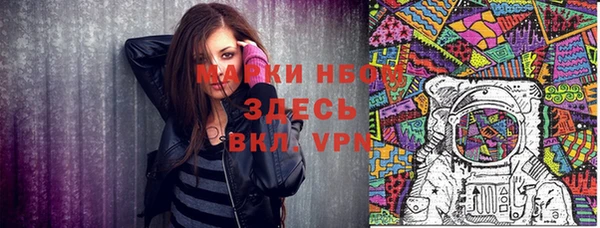 прущие грибы Снежногорск
