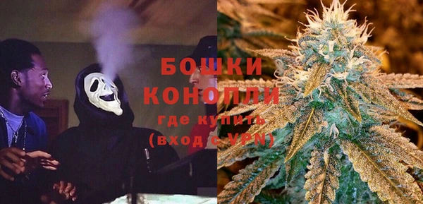 ГАЛЛЮЦИНОГЕННЫЕ ГРИБЫ Вязьма