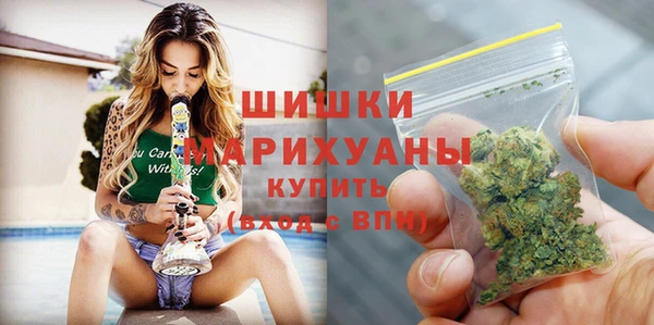 ГАЛЛЮЦИНОГЕННЫЕ ГРИБЫ Вязьма