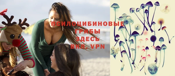 винт Вяземский