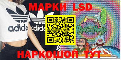 бошки Кимры