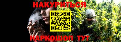 бошки Кимры