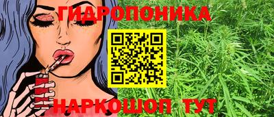 бошки Кимры