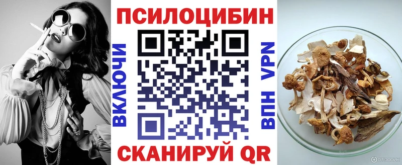 Псилоцибиновые грибы Psilocybe  Муром 
