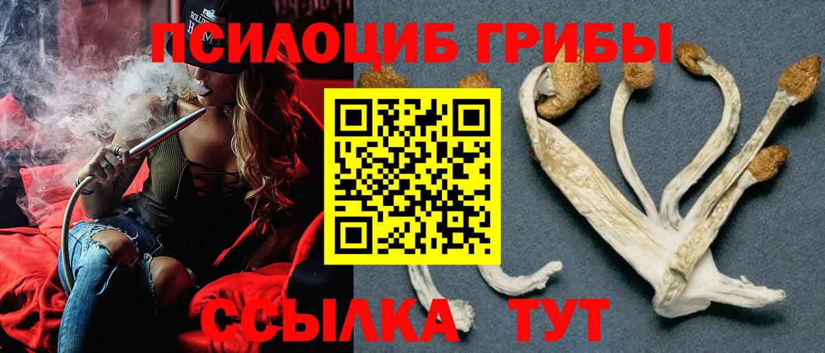 Псилоцибиновые грибы мицелий  Псилоцибиновые грибы прущие грибы  Муром  Вход с VPN 