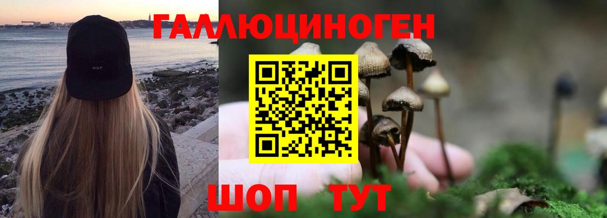 Псилоцибиновые грибы Cubensis Муром